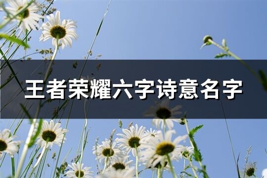 王者榮耀六字詩意名字(457個)