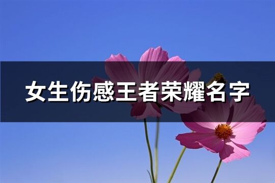 女生傷感王者榮耀名字(252個)