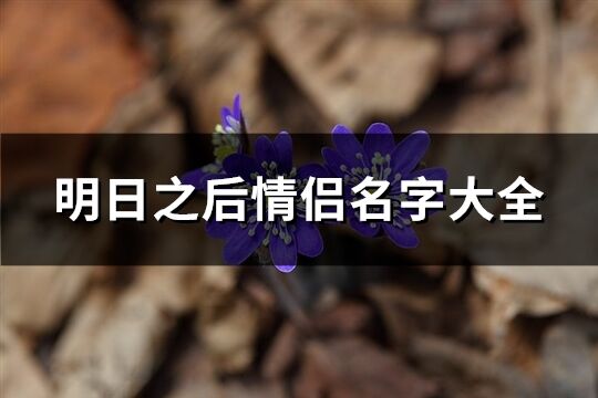 明日之后情侶名字大全(精選112個)