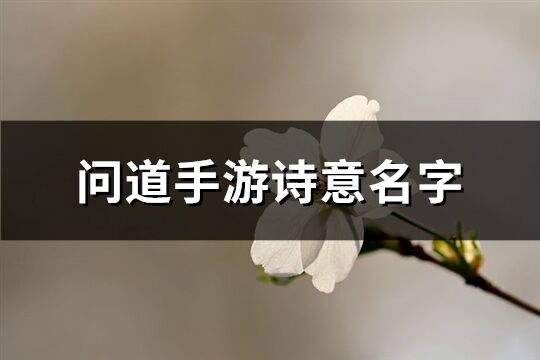 問(wèn)道手游詩(shī)意名字(213個(gè))