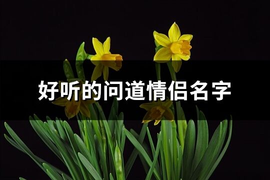 好聽的問道情侶名字(共150個)