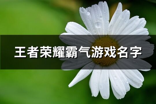 王者榮耀霸氣游戲名字(優選267個)