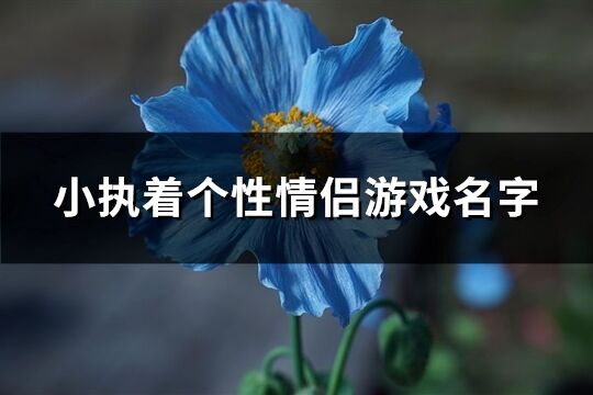 小執(zhí)著個性情侶游戲名字(優(yōu)選116個)