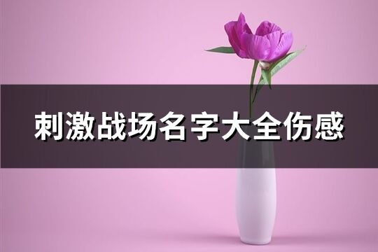 刺激戰場名字大全傷感(精選332個)