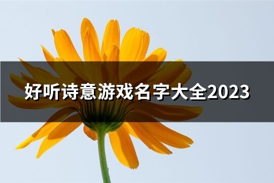 好聽詩意游戲名字大全2023(精選81個)