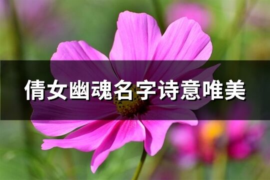 倩女幽魂名字詩意唯美(共178個)