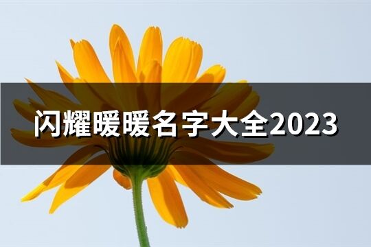 閃耀暖暖名字大全2023(優(yōu)選303個(gè))