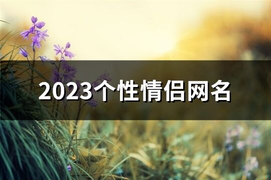 2023個(gè)性情侶網(wǎng)名(487個(gè))