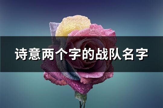 詩意兩個字的戰隊名字(221個)