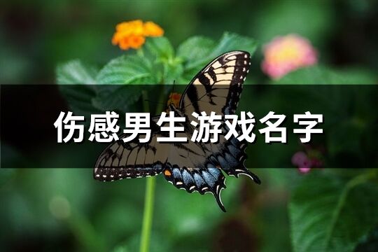 傷感男生游戲名字(541個)