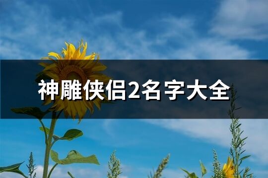 神雕俠侶2名字大全(共179個)