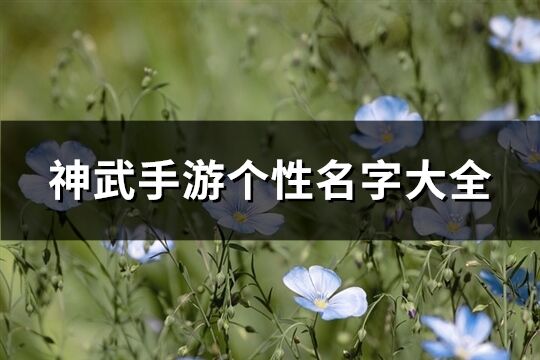 神武手游個性名字大全(精選336個)