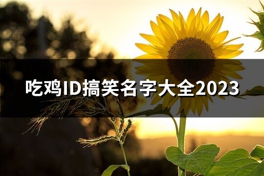 吃雞ID搞笑名字大全2023(共61個)