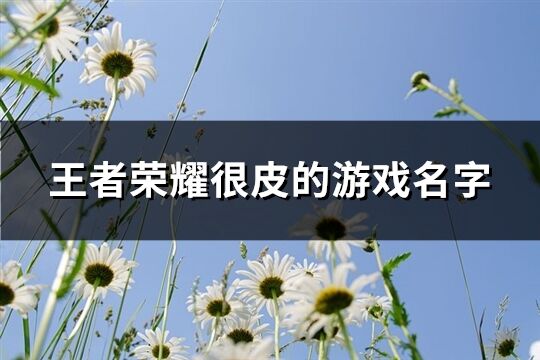 王者榮耀很皮的游戲名字(精選160個)