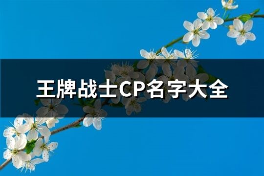 王牌***CP名字大全(共269個)