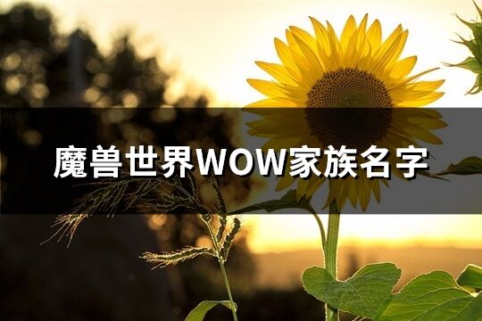 魔獸世界WOW家族名字(共125個)