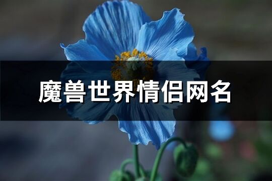 魔獸世界情侶網名(優選128個)