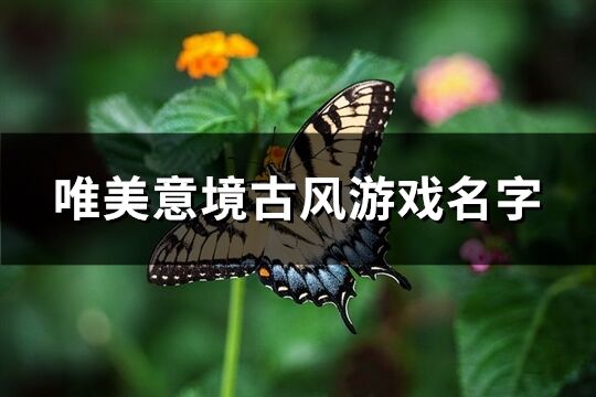 唯美意境古風(fēng)游戲名字(808個)