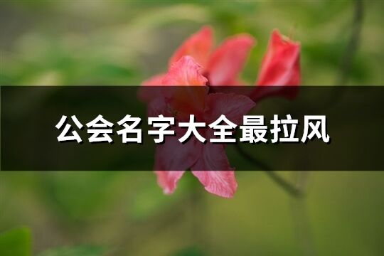 公會名字大全最拉風(精選528個)