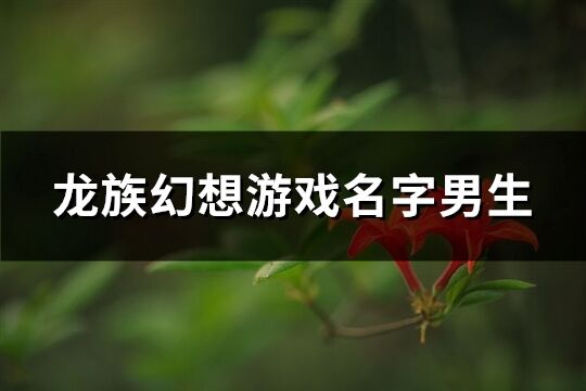 龍族幻想游戲名字男生(共233個)