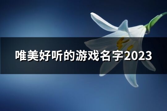 唯美好聽的游戲名字2023(精選57個)