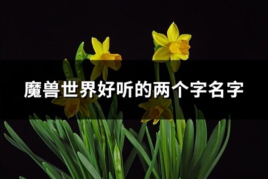 魔獸世界好聽的兩個字名字(精選838個)