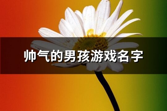 帥氣的男孩游戲名字(共439個)