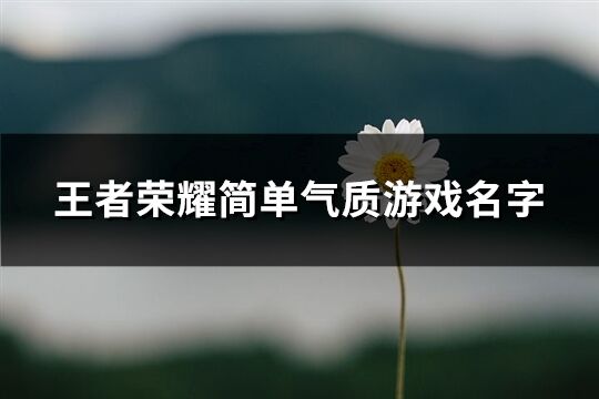 王者榮耀簡單氣質游戲名字(優選811個)