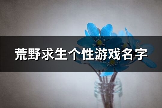 荒野求生個性游戲名字(精選233個)