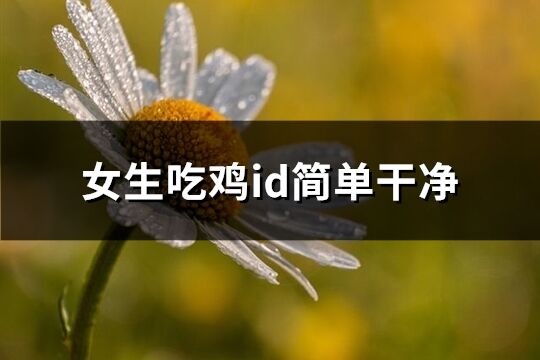 女生吃雞id簡(jiǎn)單干凈(191個(gè))