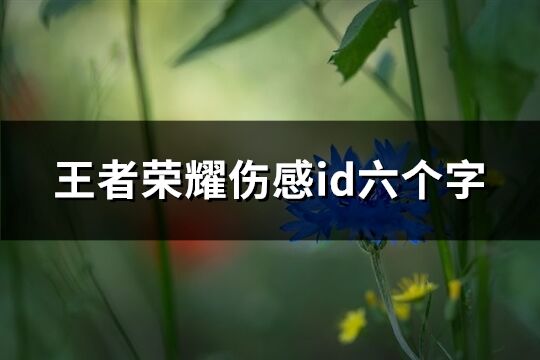 王者榮耀傷感id六個字(共490個)