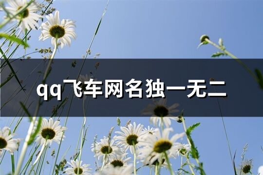 qq飛車網名獨一無二(優選80個)