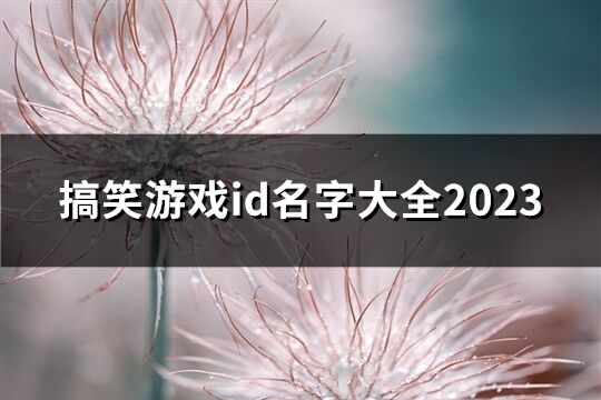 搞笑游戲id名字大全2023(共45個)