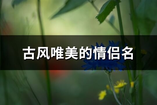 古風(fēng)唯美的情侶名(優(yōu)選98個)