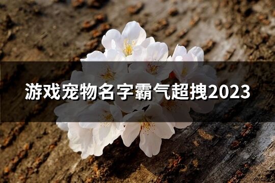 游戲寵物名字霸氣超拽2023(優選54個)