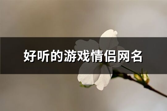 好聽的游戲情侶網(wǎng)名(優(yōu)選262個(gè))