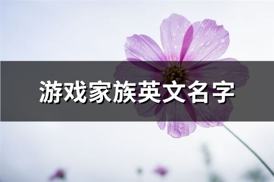 游戲家族英文名字(優選99個)