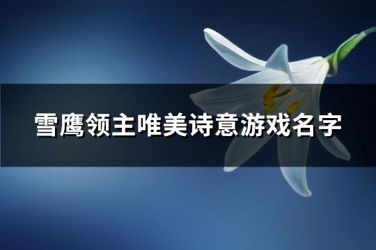 雪鷹領主唯美詩意游戲名字(優選474個)