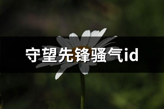 守望先鋒騷氣id(216個)