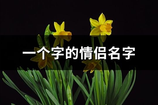 一個(gè)字的情侶名字(優(yōu)選93個(gè))