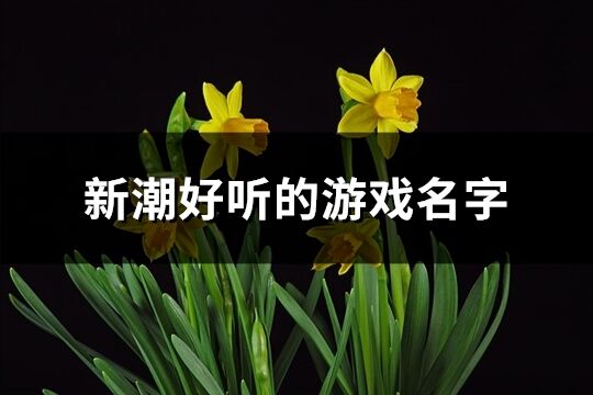 新潮好聽的游戲名字(402個)