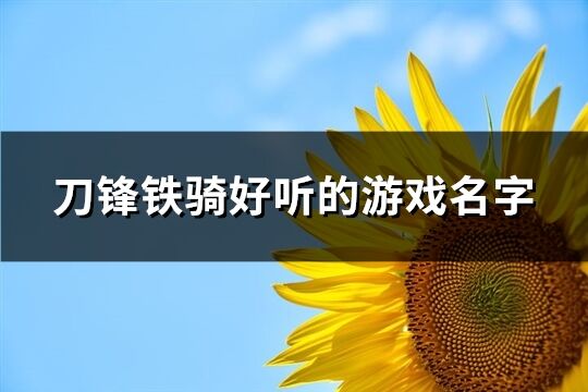 刀鋒鐵騎好聽的游戲名字(169個)