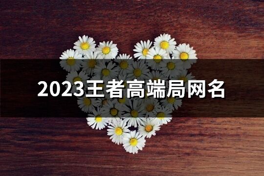 2023王者高端局網(wǎng)名(優(yōu)選399個)