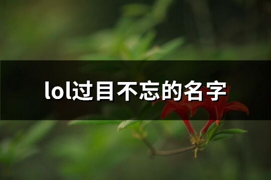 lol過目不忘的名字(優選137個)