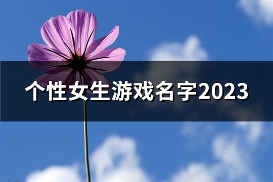 個性女生游戲名字2023(優選757個)