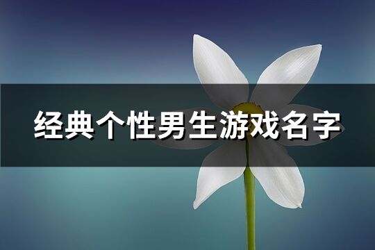 經典個性男生游戲名字(共284個)