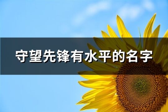 守望先鋒有水平的名字(優選284個)