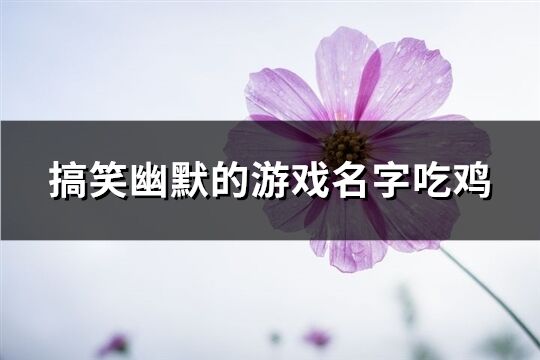 搞笑幽默的游戲名字吃雞(精選339個)