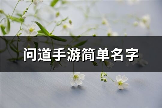 問道手游簡單名字(精選275個)