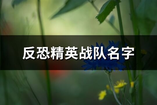 反恐精英戰隊名字(158個)